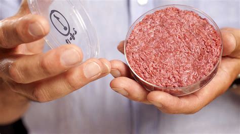 Kein Tier so wild 2025